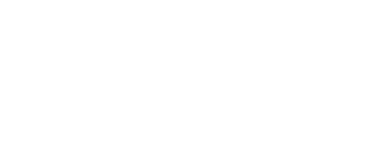 Platinum sponsor